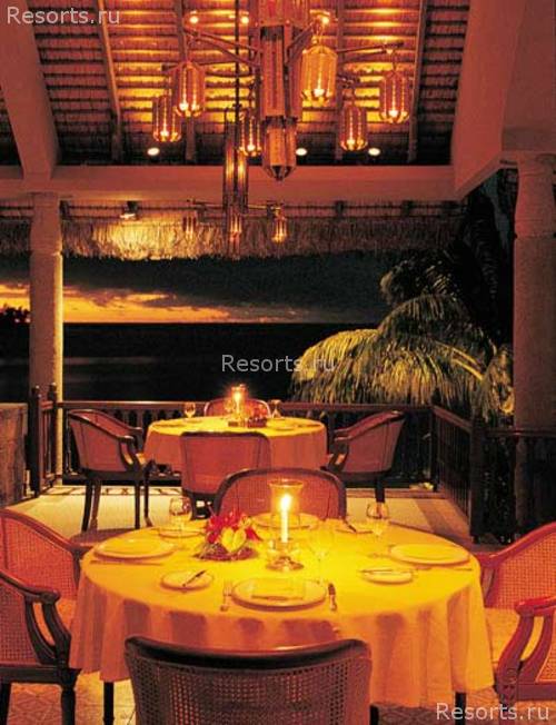 Royal Palm 30